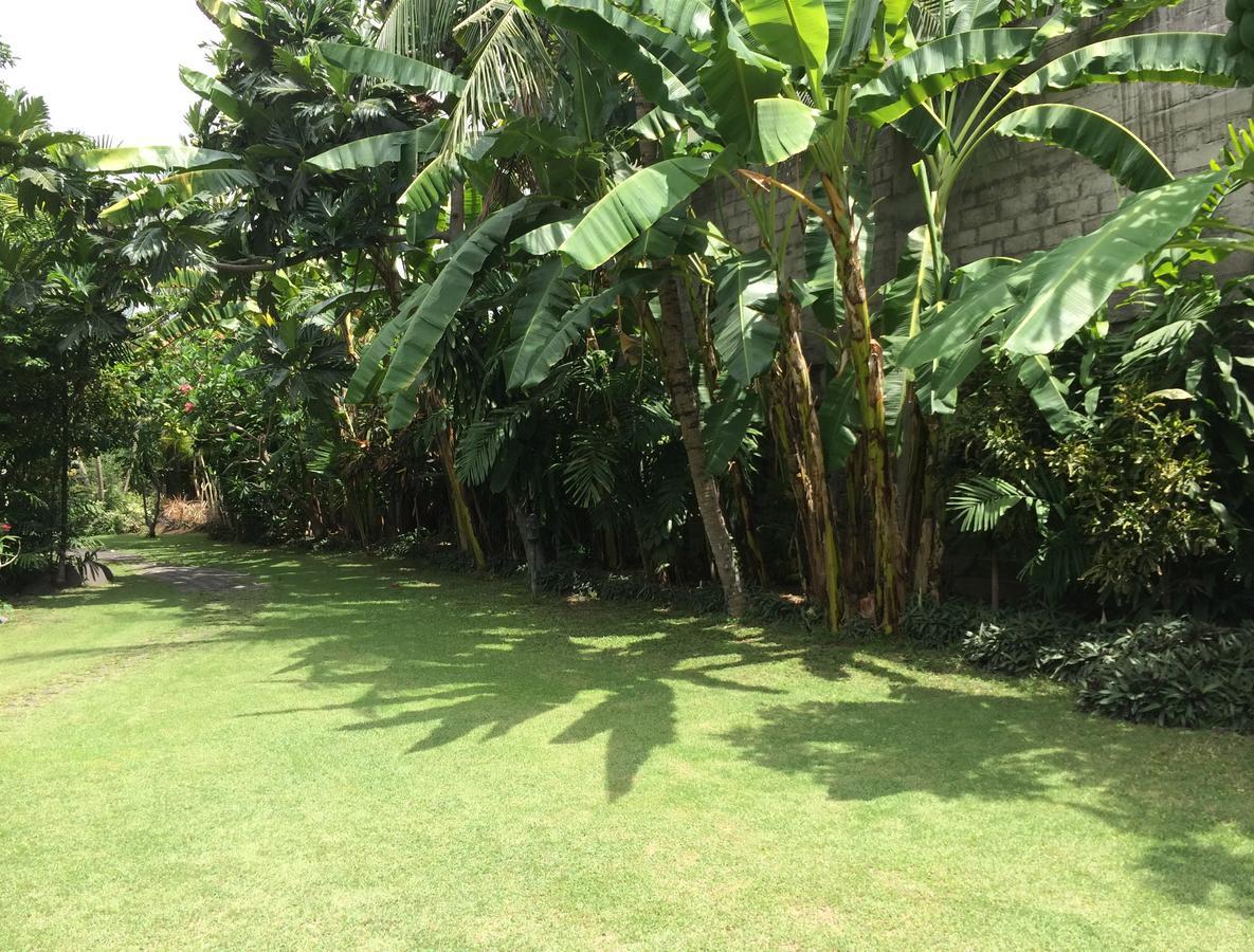होटल Raja Gardens 2*
