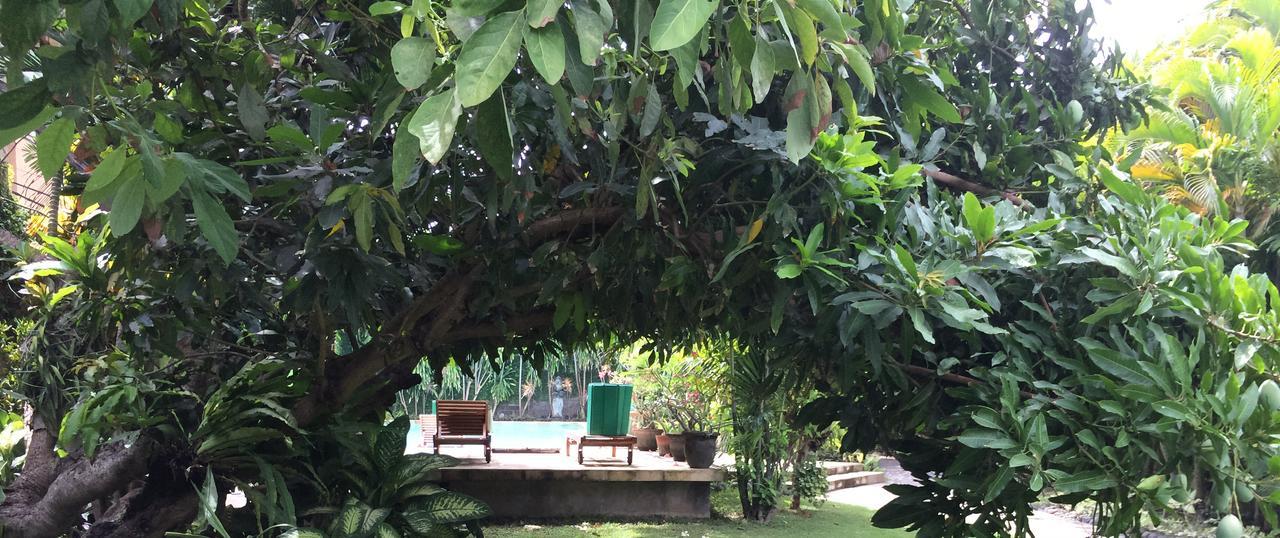 Raja Gardens Seminyak (Bali)